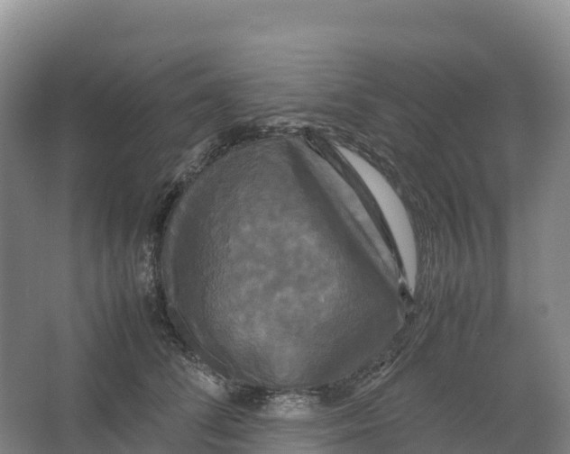 X0000064060708200602171737