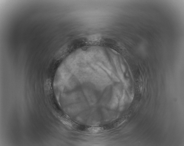 X0000064060711200602171737