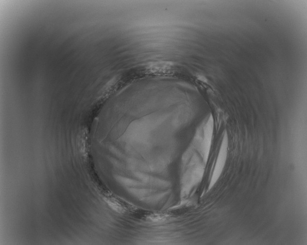 X0000064060712200602171737