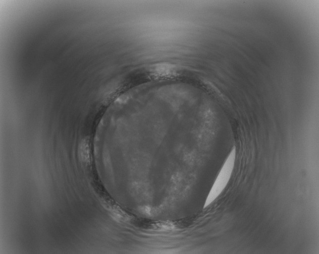 X0000064060715200602171737