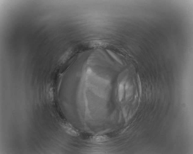 X0000064060716200602171737