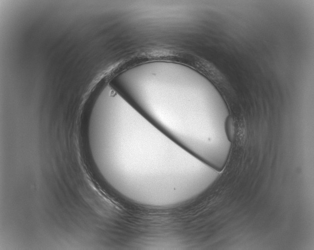 X0000064060732200602171736