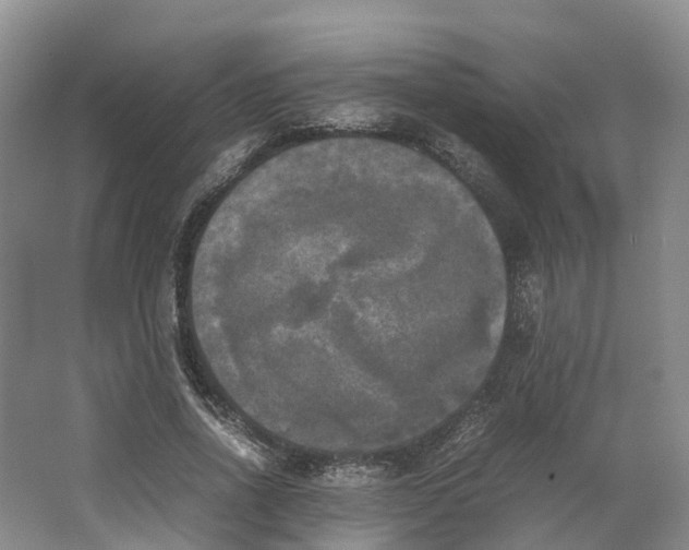 X0000064060734200602171736