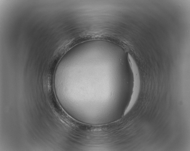 X0000064060740200602171736