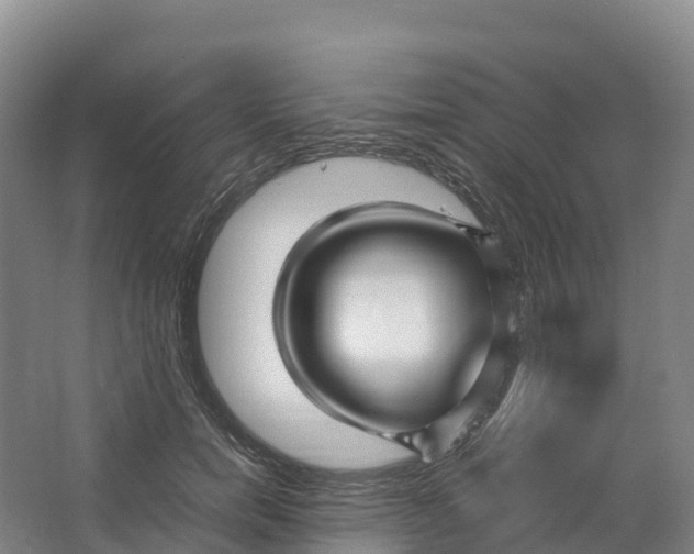 X0000064060750200602171736