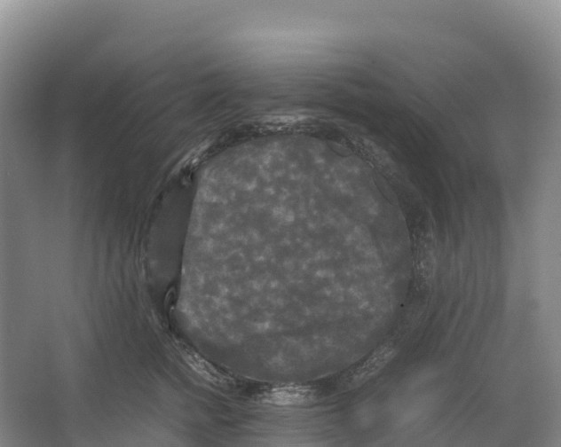 X0000064060758200602171736