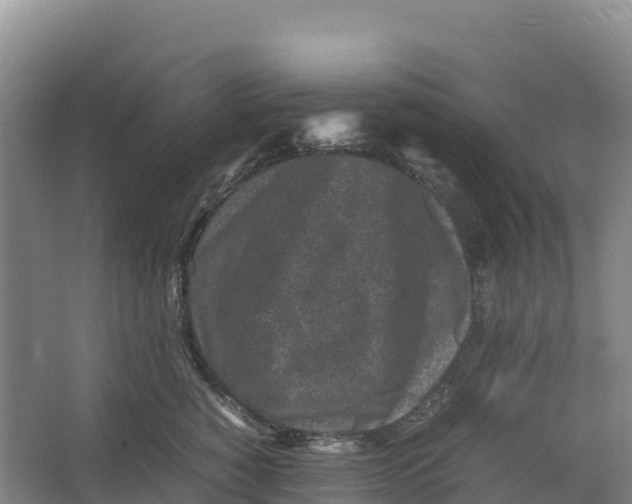 X0000064060760200602171736
