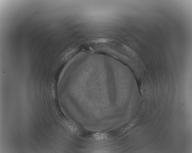 X0000064060762200602171736