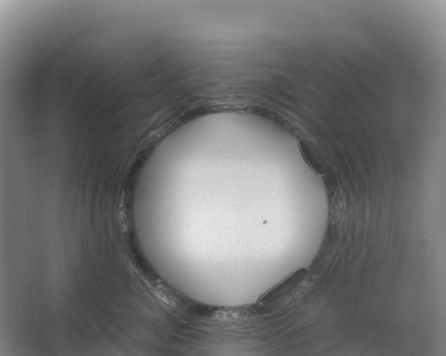 X0000064060764200602171736