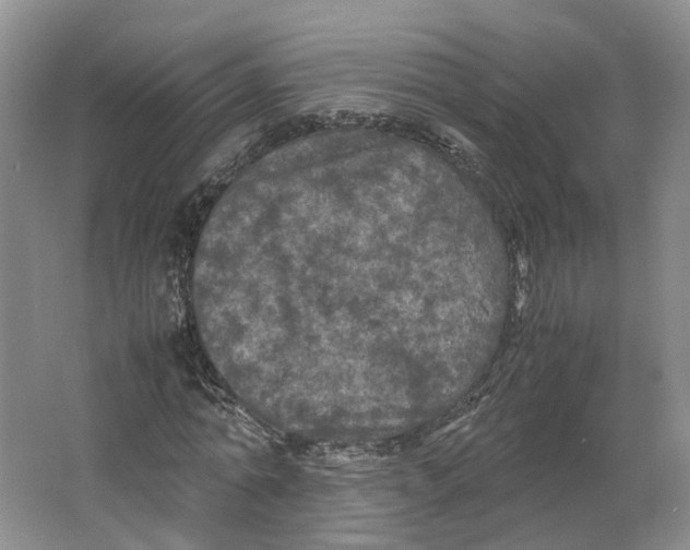 X0000064060774200602171736