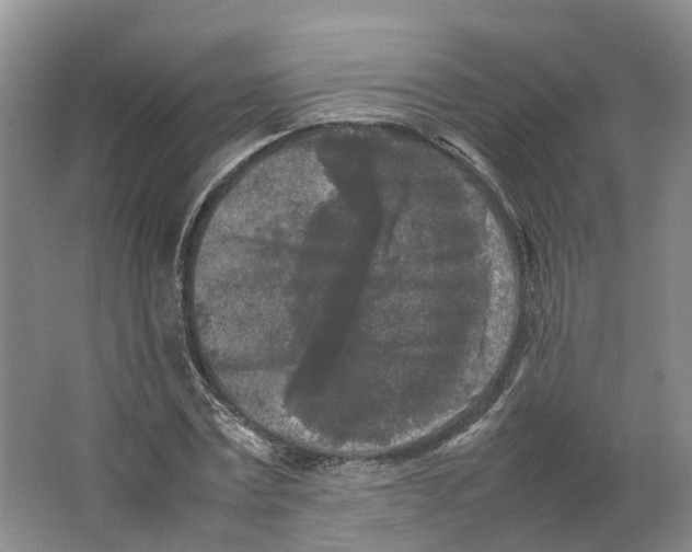 X0000064060779200602171736