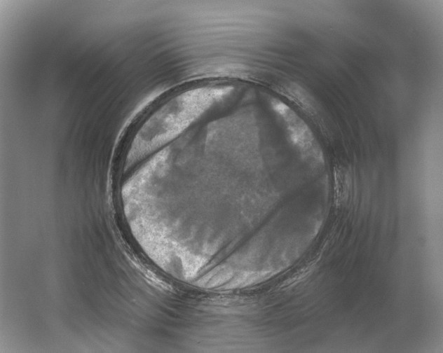 X0000064060780200602171736