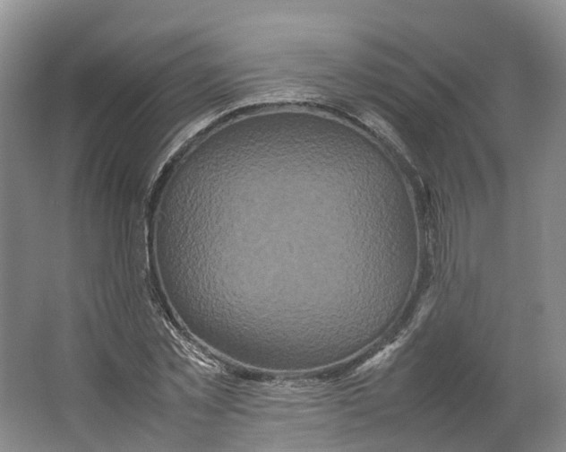 X0000064060781200602171735