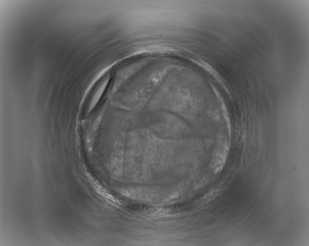 X0000064060783200602171735