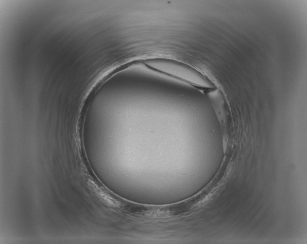 X0000064060789200602171735