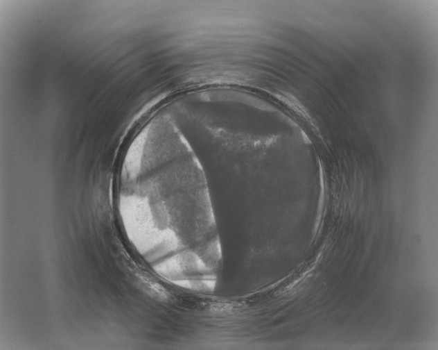 X0000064060790200602171735