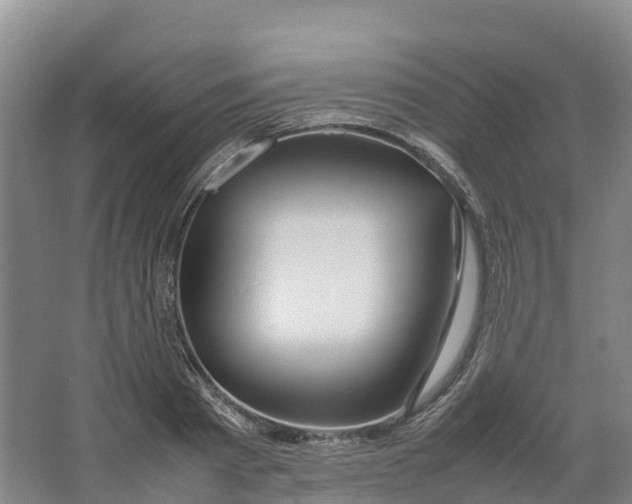 X0000064060793200602171735