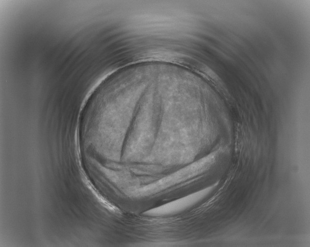 X0000064060796200602171735