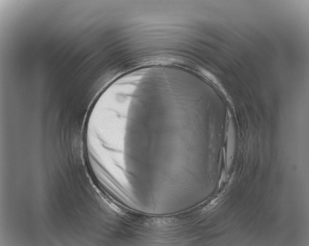 X0000064060802200602171735