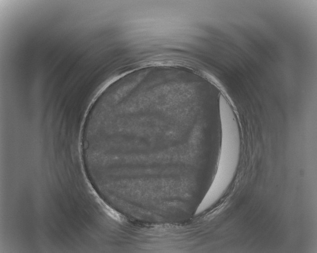 X0000064060803200602171735