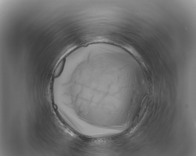 X0000064060806200602171735