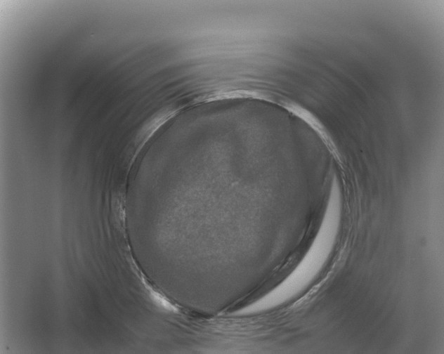 X0000064060809200602171735