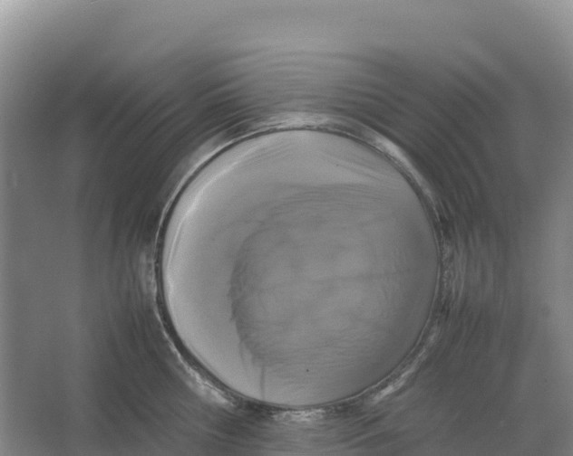 X0000064060810200602171735