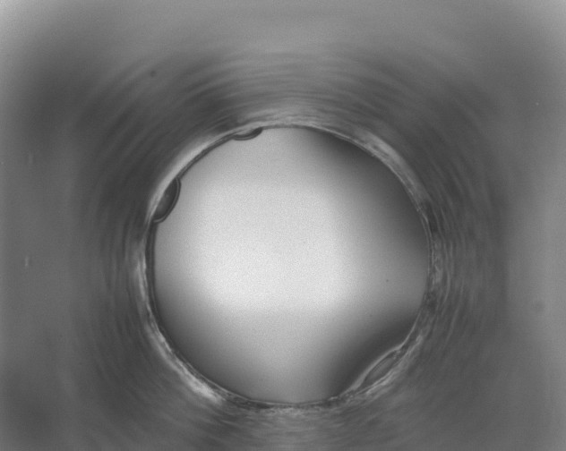 X0000064060812200602171735