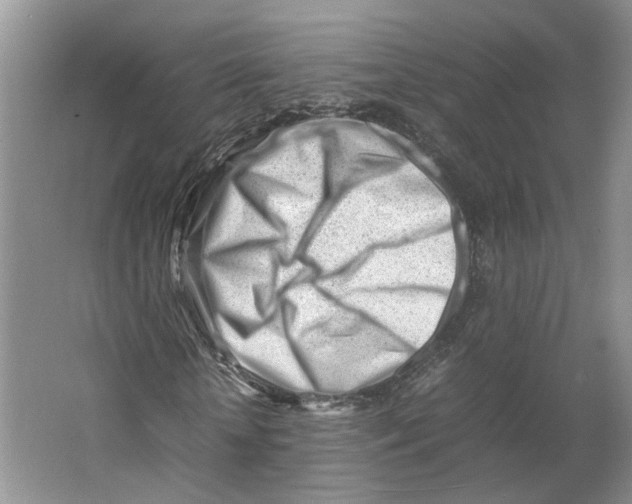 X0000064060818200602171734