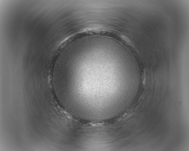 X0000064060822200602171734