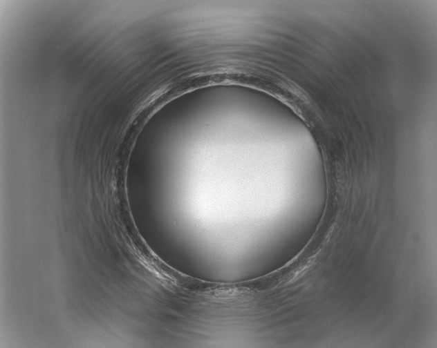 X0000064060826200602171734