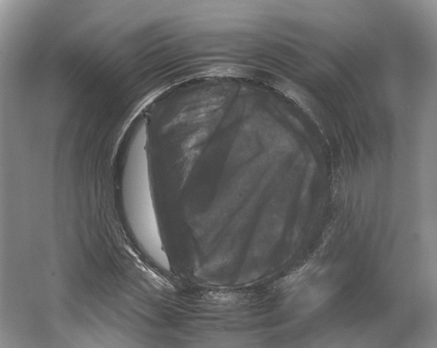 X0000064060829200602171734