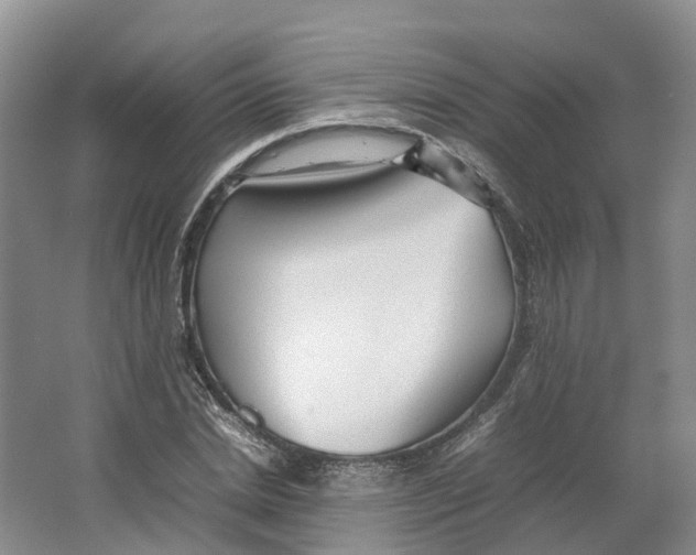 X0000064060830200602171734