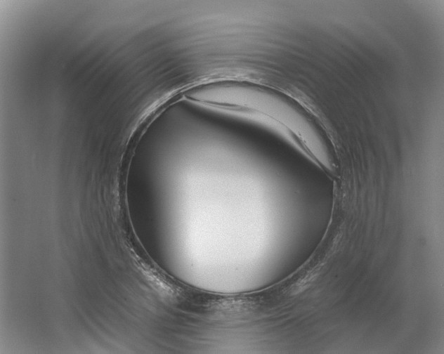 X0000064060834200602171734