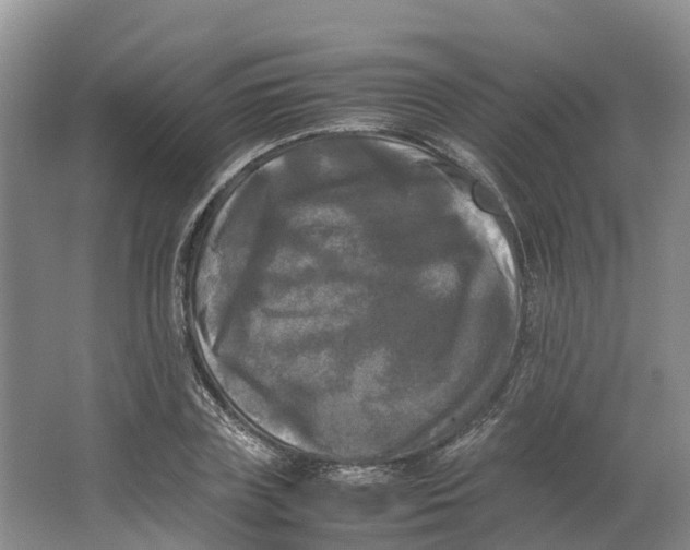 X0000064060835200602171734