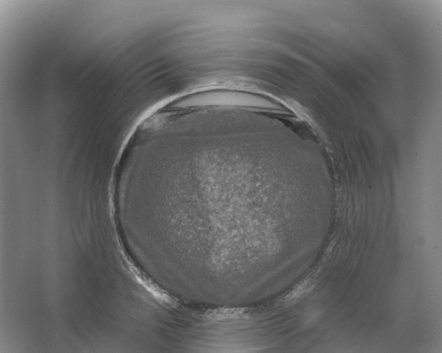 X0000064060846200602171735