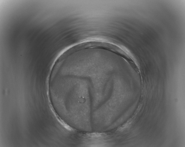 X0000064060862200602171735