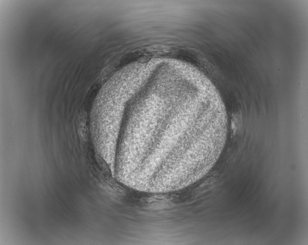 X0000064060867200602171734