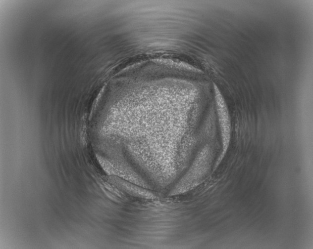 X0000064060868200602171734