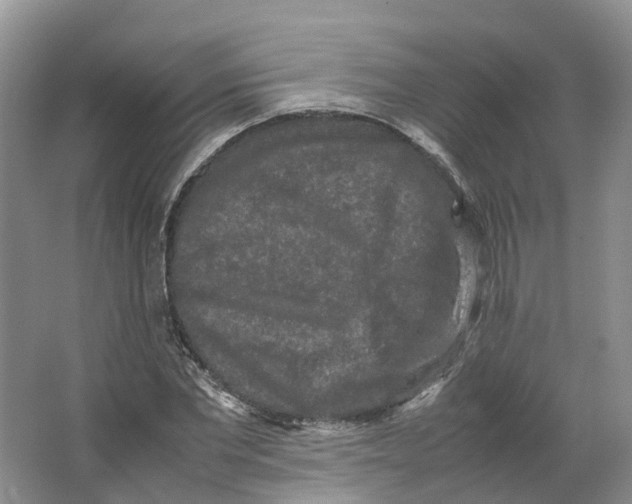 X0000064060877200602171734