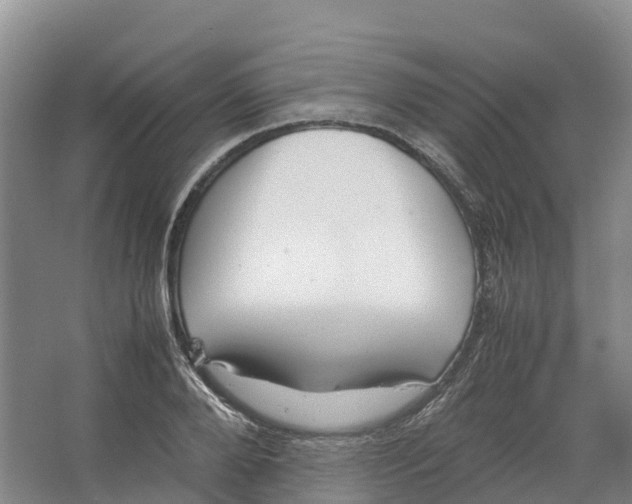 X0000064060888200602171734