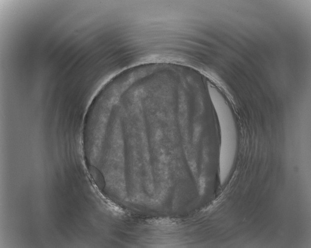 X0000064060896200602171734