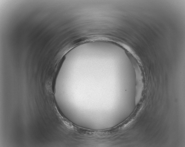 X0000064060905200602171733