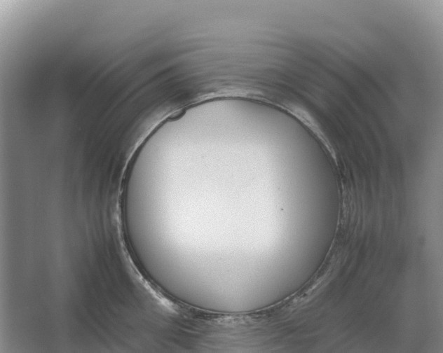 X0000064060906200602171733