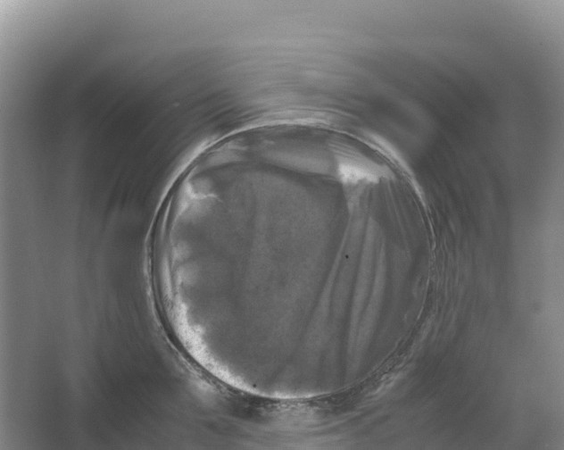 X0000064060907200602171733