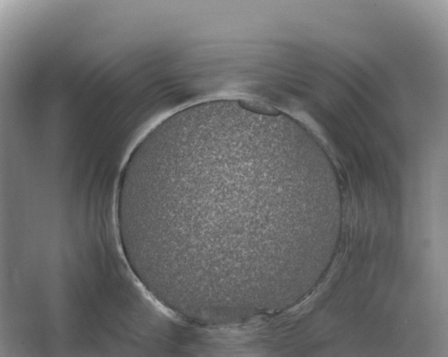 X0000064060910200602171733