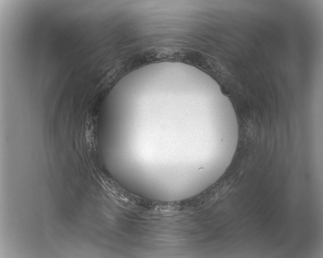 X0000064060914200602171732