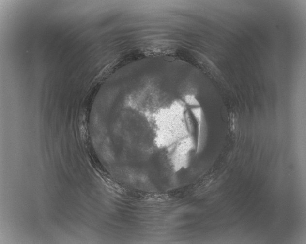 X0000064060915200602171732