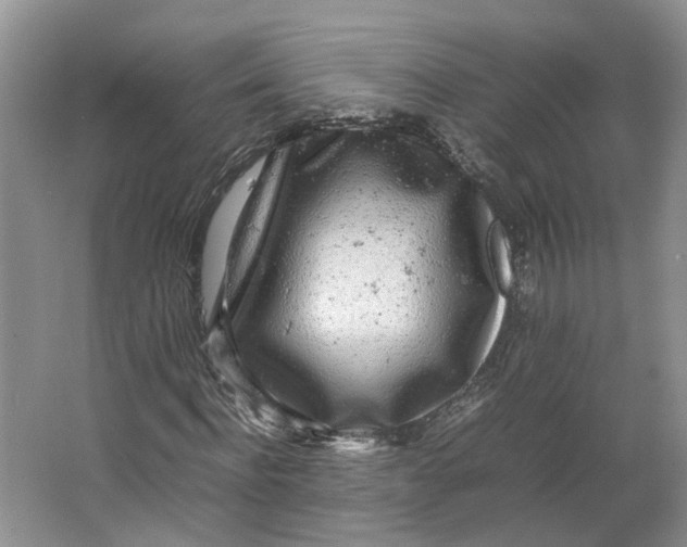 X0000064060916200602171732