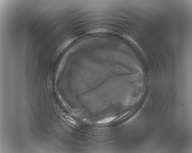 X0000064060921200602171733